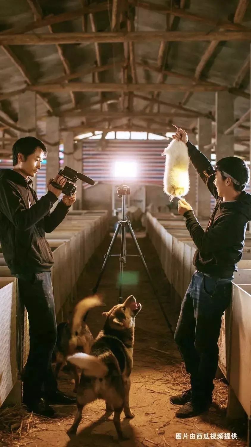 镜头不过界，生活不出圈丨睡前聊一会儿