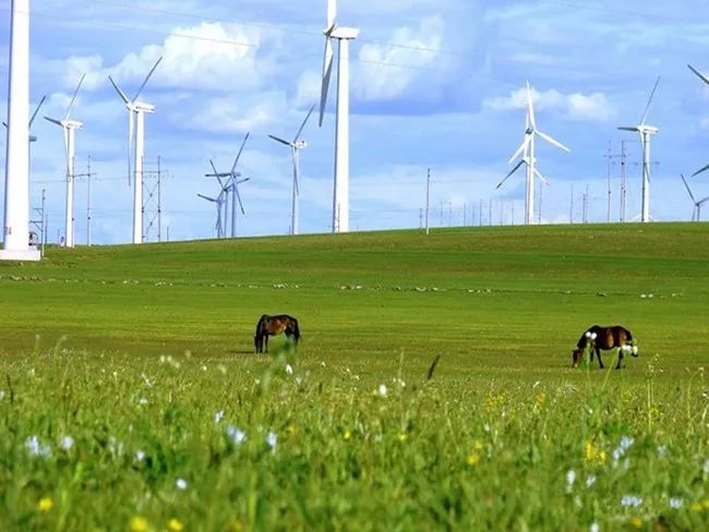 草原避暑之都最新消息,炎炎夏日就来草原避暑吧