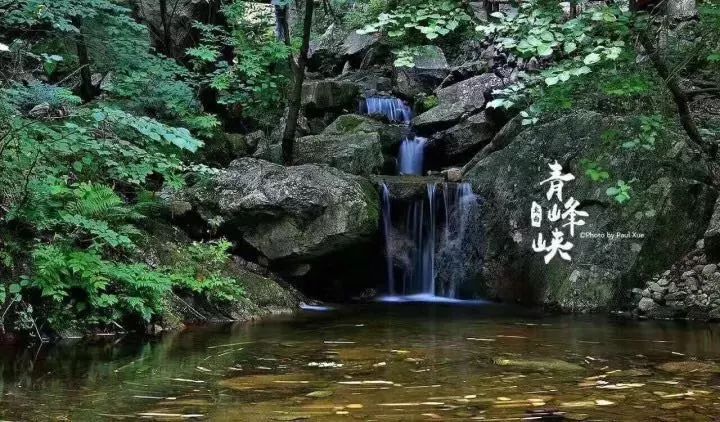 西安旅游景区直通车推出春节优惠,西安免费景点直通车