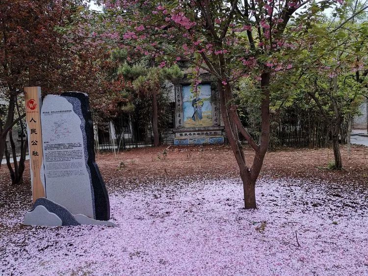 西安旅游景区直通车推出春节优惠,西安免费景点直通车