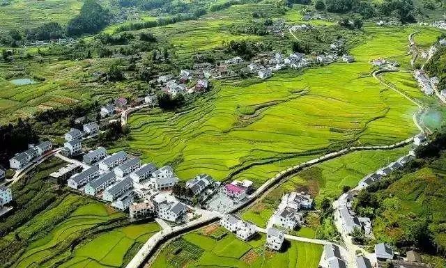 菏泽户口本补贴政策是什么,菏泽户口迁入新政策