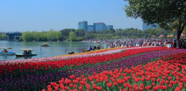 上海五一假期去哪玩最合适,五一假期上海有什么好玩的地方