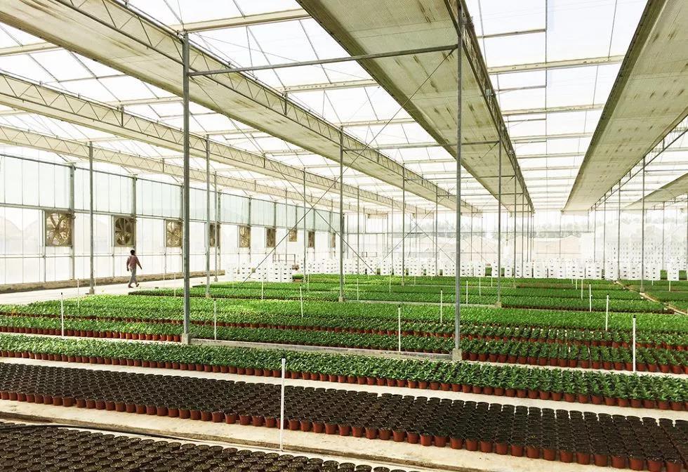 内蒙古乡村振兴标志,包头乡村振兴文化标识定做