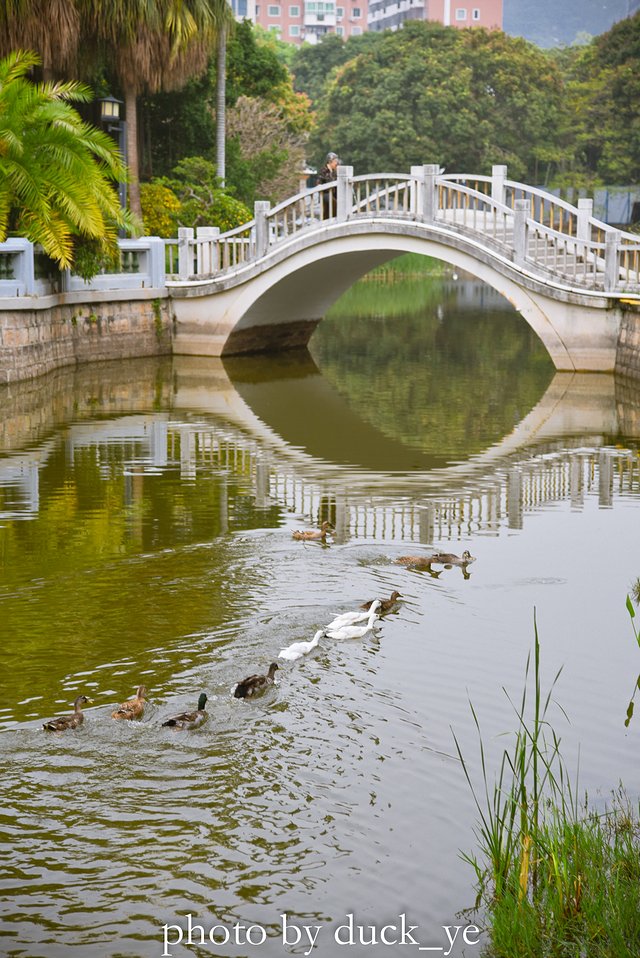 厦门旅行美食与你不可辜负,厦门美食之旅