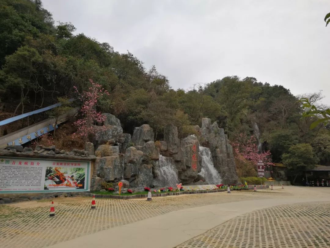 花为美，峡谷风光等你来，娱乐休闲尽开怀