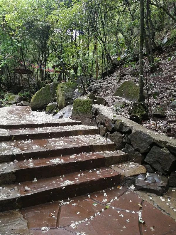 花为美，峡谷风光等你来，娱乐休闲尽开怀