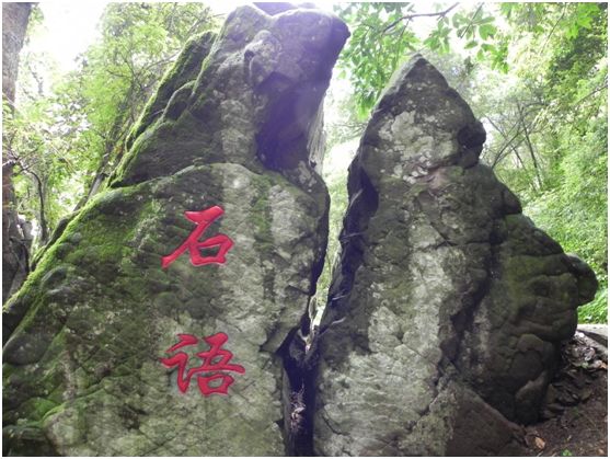 花为美，峡谷风光等你来，娱乐休闲尽开怀