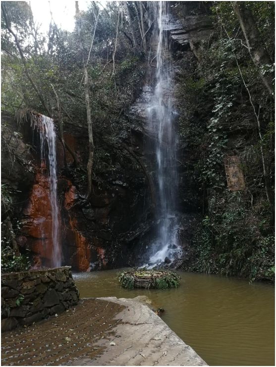 花为美，峡谷风光等你来，娱乐休闲尽开怀
