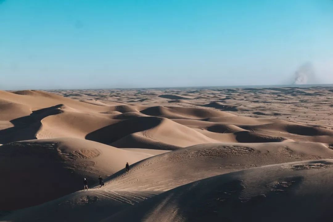 花电脑壁纸高清唯美,电脑壁纸超清唯美中国风