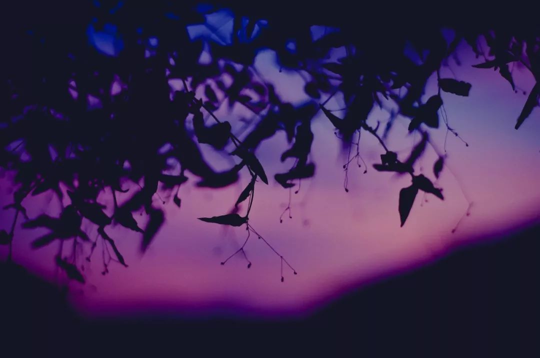 花电脑壁纸高清唯美,电脑壁纸超清唯美中国风