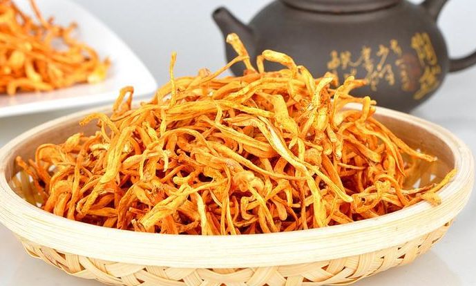 虫草花鸡汤补肾阳,肝肾阴虚可以吃虫草花吗