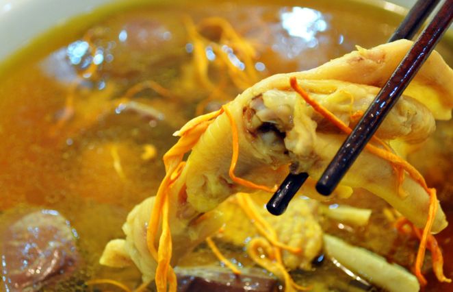 虫草花鸡汤补肾阳,肝肾阴虚可以吃虫草花吗