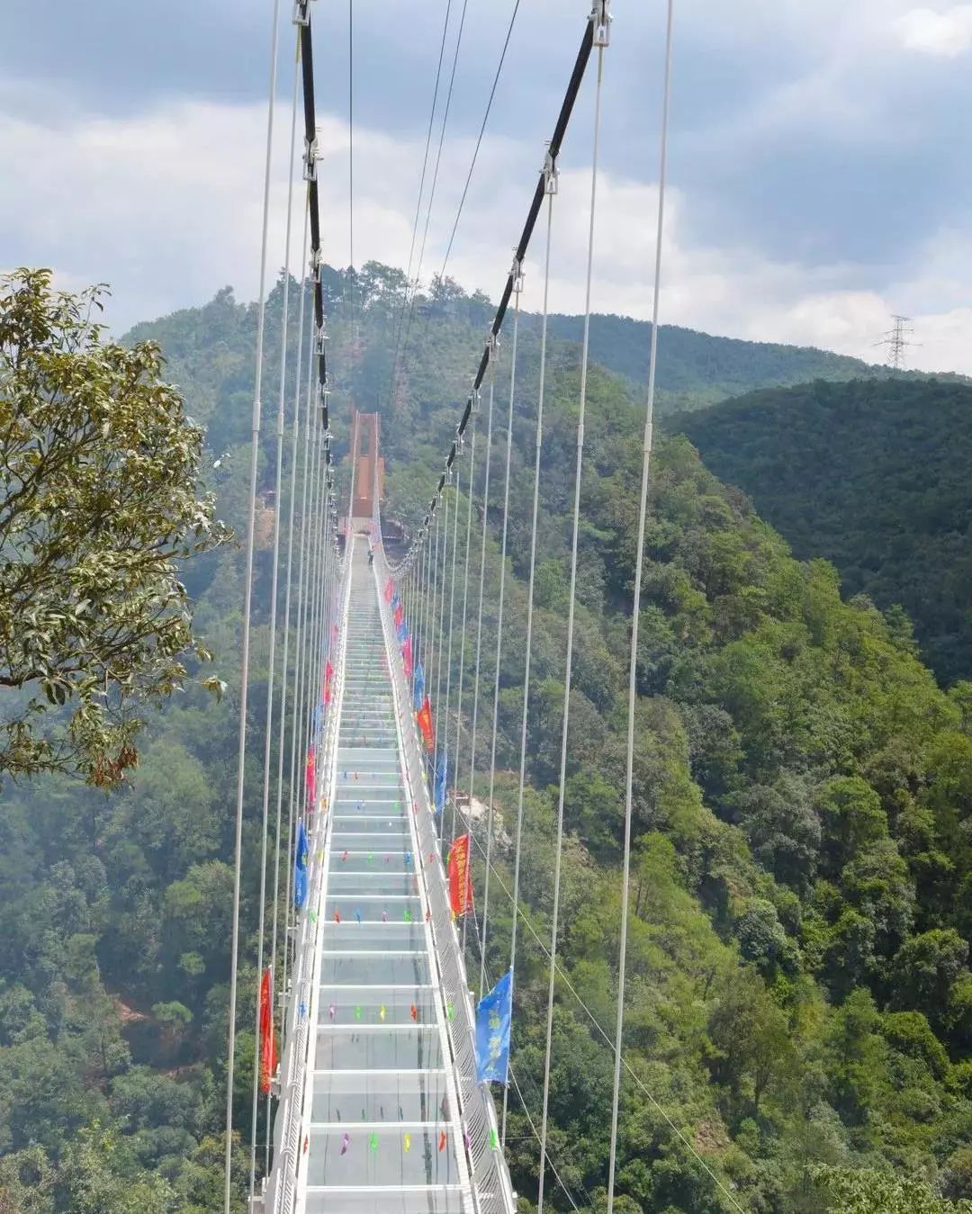 【潮玩】走啊，一起出去“浪里个浪儿~~~”