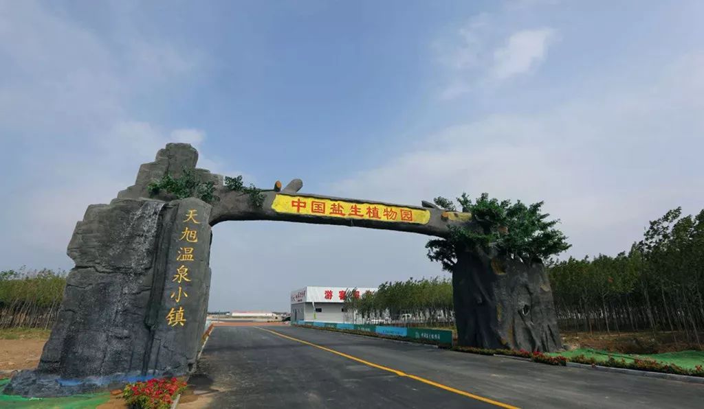 美景美食不虚此行,美景美食美不胜收