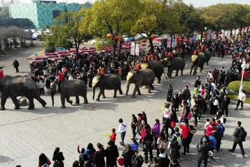 上海野生动物园游览攻略,上海野生动物园的旅游路线示意图