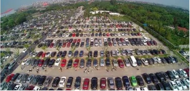 上海野生动物园游览攻略,上海野生动物园的旅游路线示意图