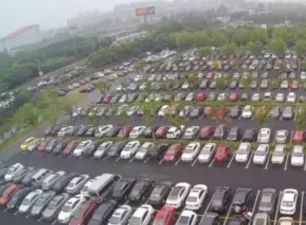 上海野生动物园游览攻略,上海野生动物园的旅游路线示意图