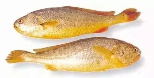 大连最新管控时间,大连最新重要通告