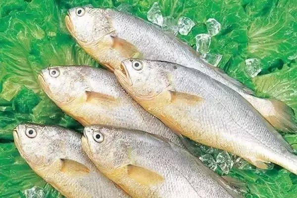 大连最新管控时间,大连最新重要通告