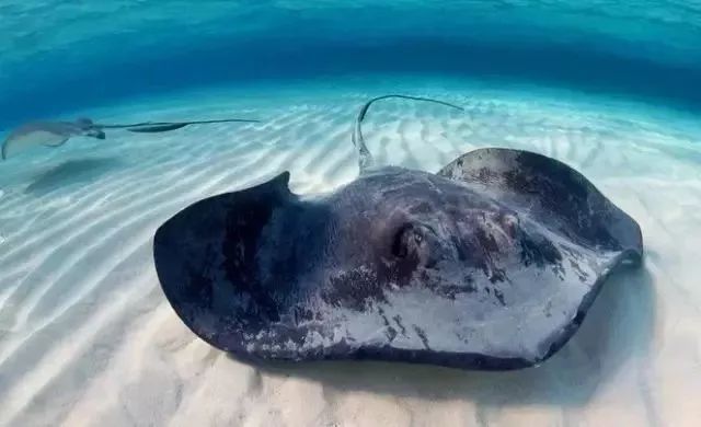 大连最新管控时间,大连最新重要通告