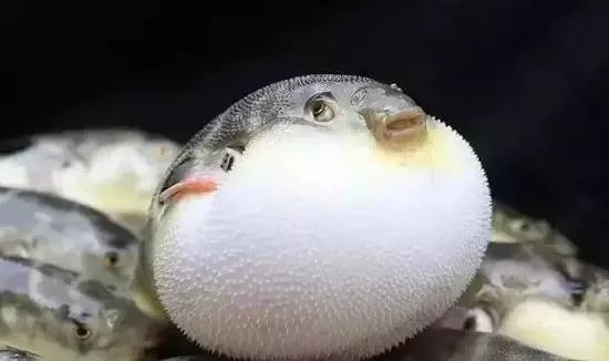 大连最新管控时间,大连最新重要通告