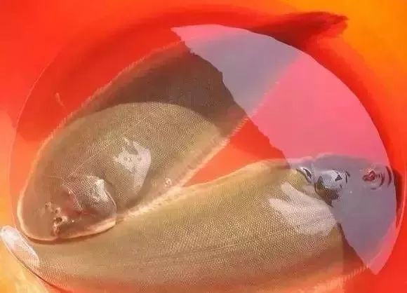 大连最新管控时间,大连最新重要通告