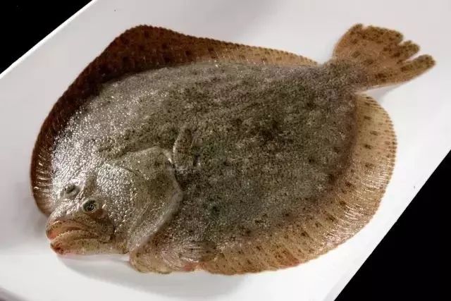 大连最新管控时间,大连最新重要通告