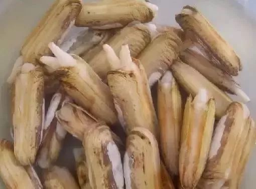 大连最新管控时间,大连最新重要通告