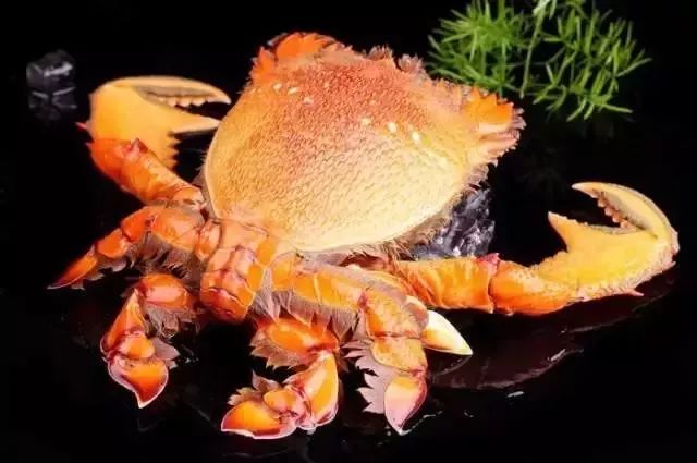 大连最新管控时间,大连最新重要通告