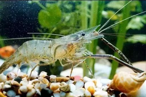 大连最新管控时间,大连最新重要通告