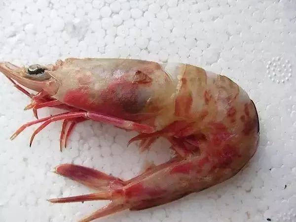 大连最新管控时间,大连最新重要通告