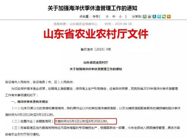 5至6月份日照有哪些新闻,日照今日实事