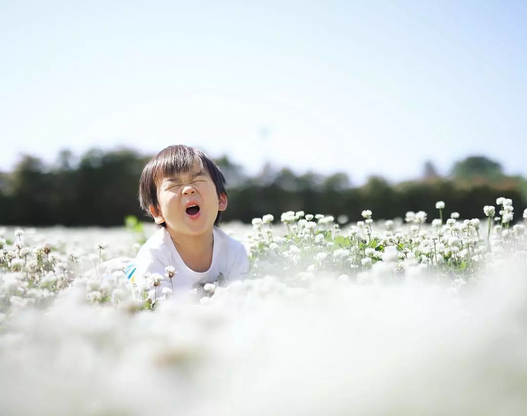 日本爸爸把男孩子拍出宫崎骏 (日本老爸把女儿拍到宫崎骏)