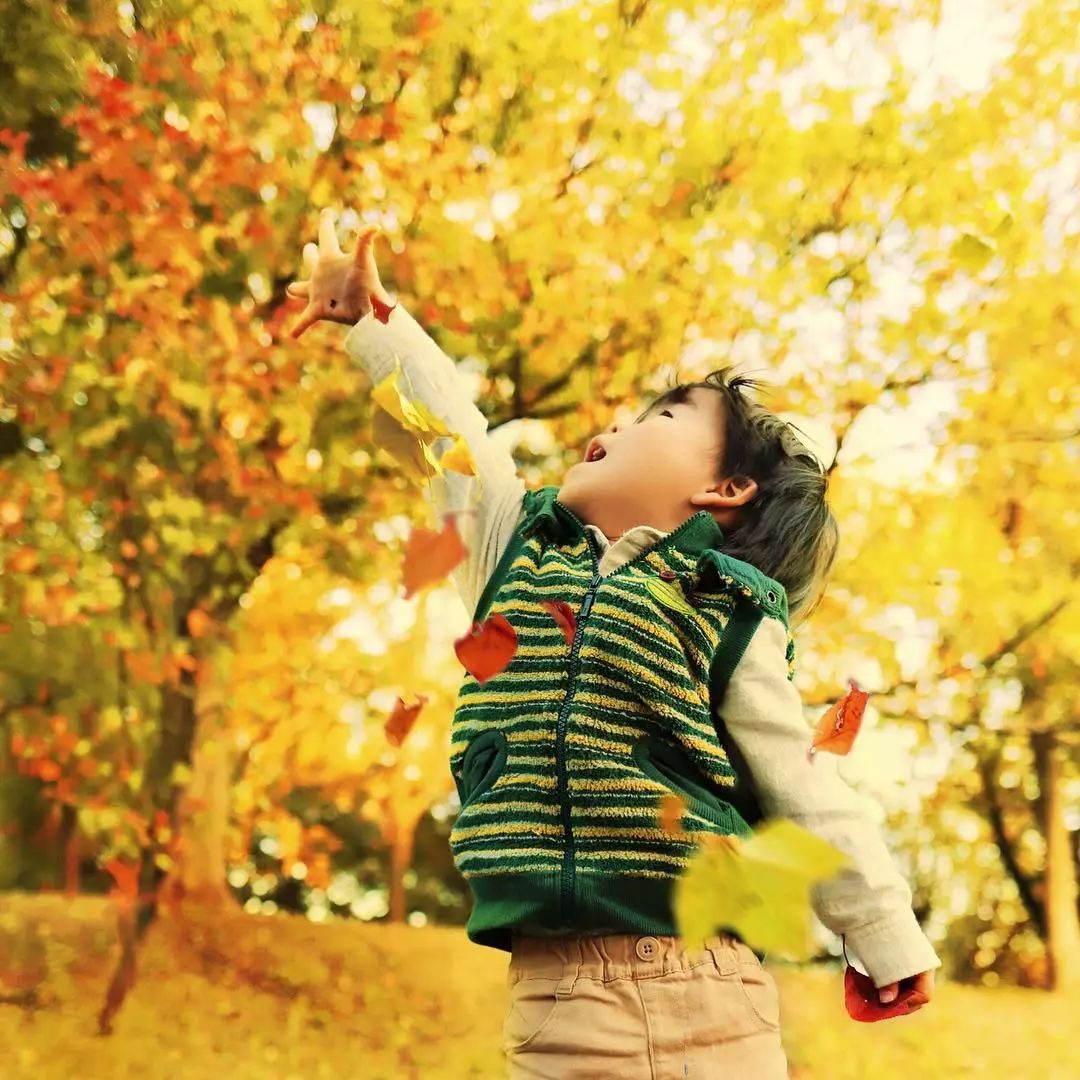 日本爸爸把男孩子拍出宫崎骏 (日本老爸把女儿拍到宫崎骏)