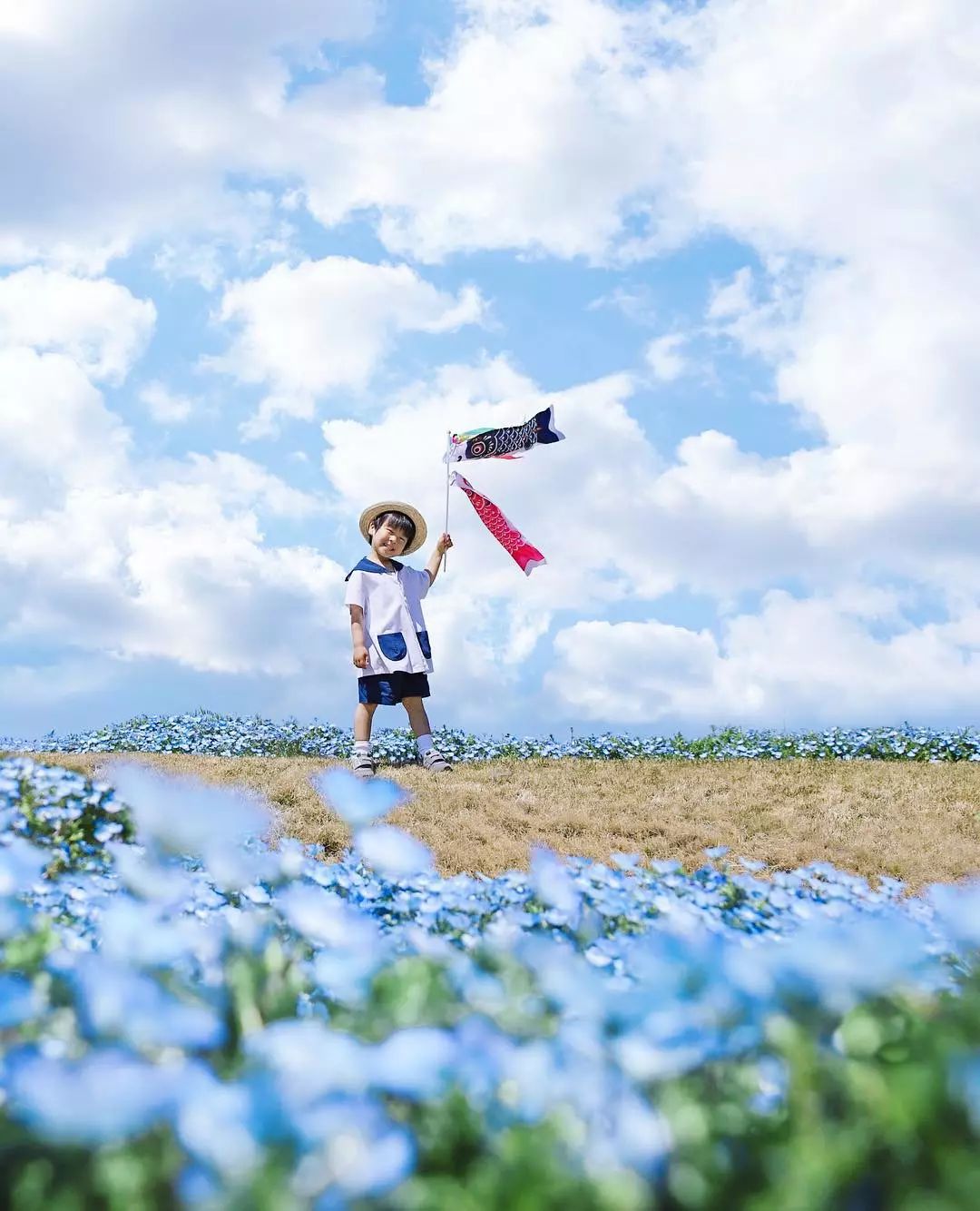 日本爸爸把男孩子拍出宫崎骏 (日本老爸把女儿拍到宫崎骏)