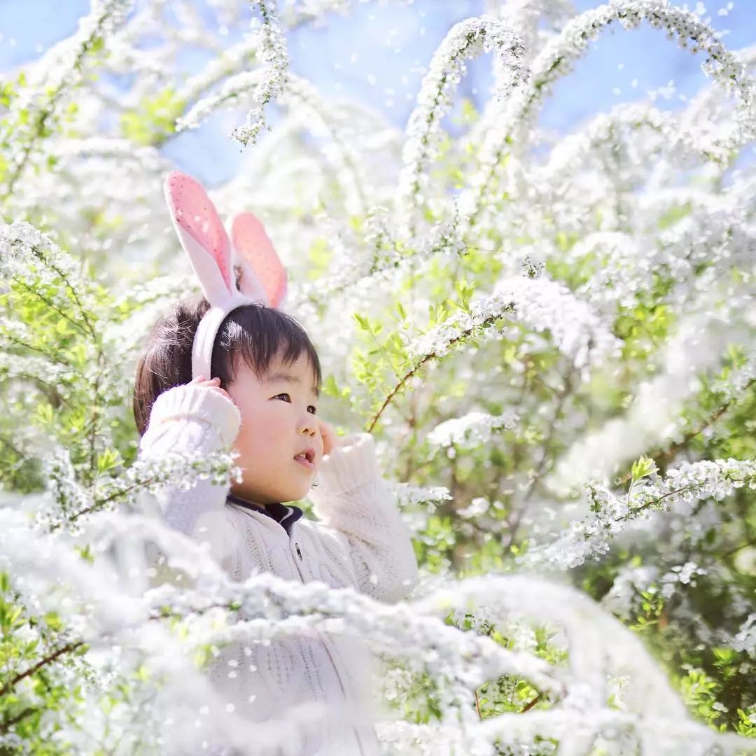 日本爸爸把男孩子拍出宫崎骏 (日本老爸把女儿拍到宫崎骏)