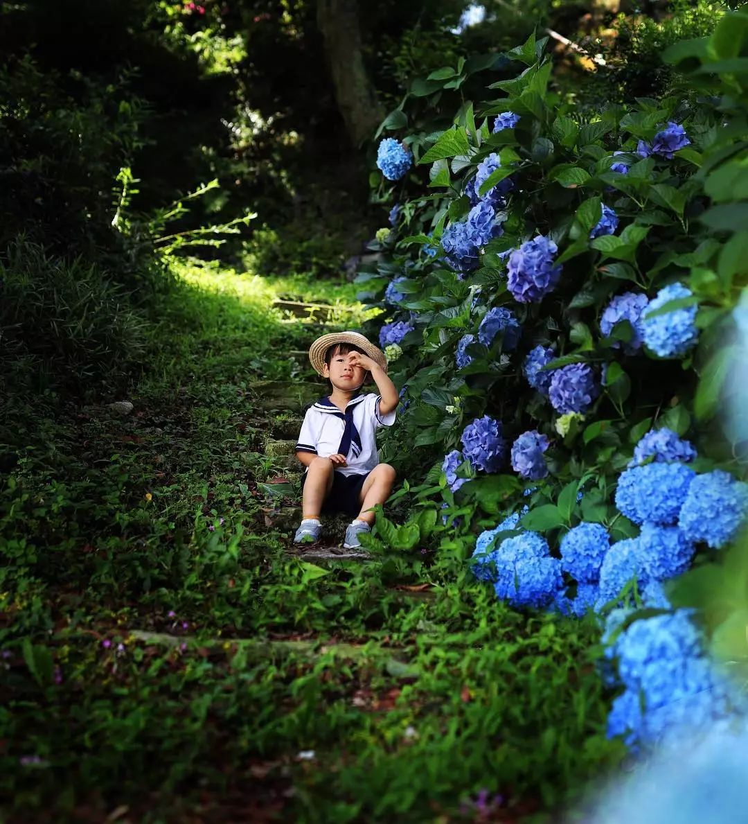 日本爸爸把男孩子拍出宫崎骏 (日本老爸把女儿拍到宫崎骏)