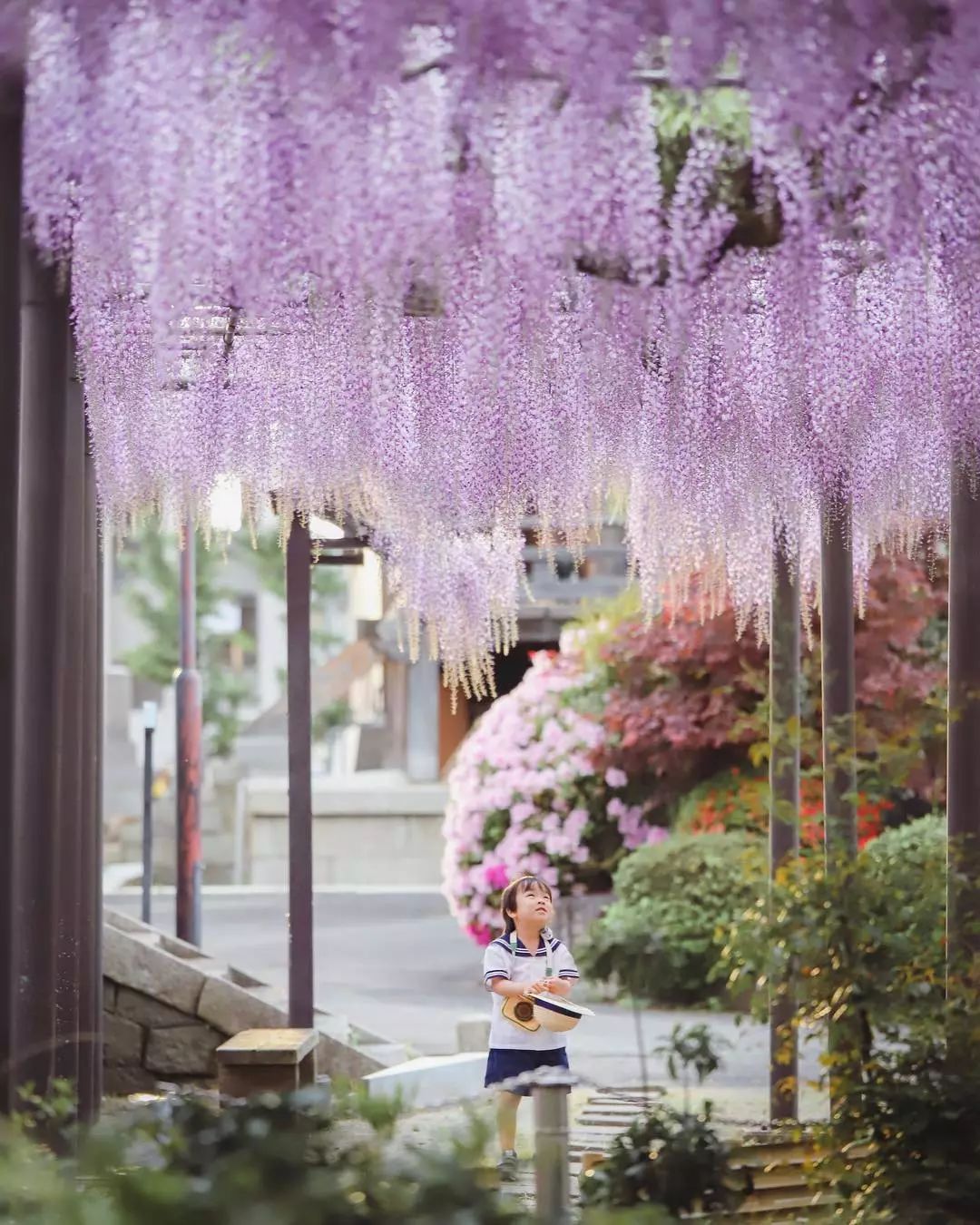 日本爸爸把男孩子拍出宫崎骏 (日本老爸把女儿拍到宫崎骏)