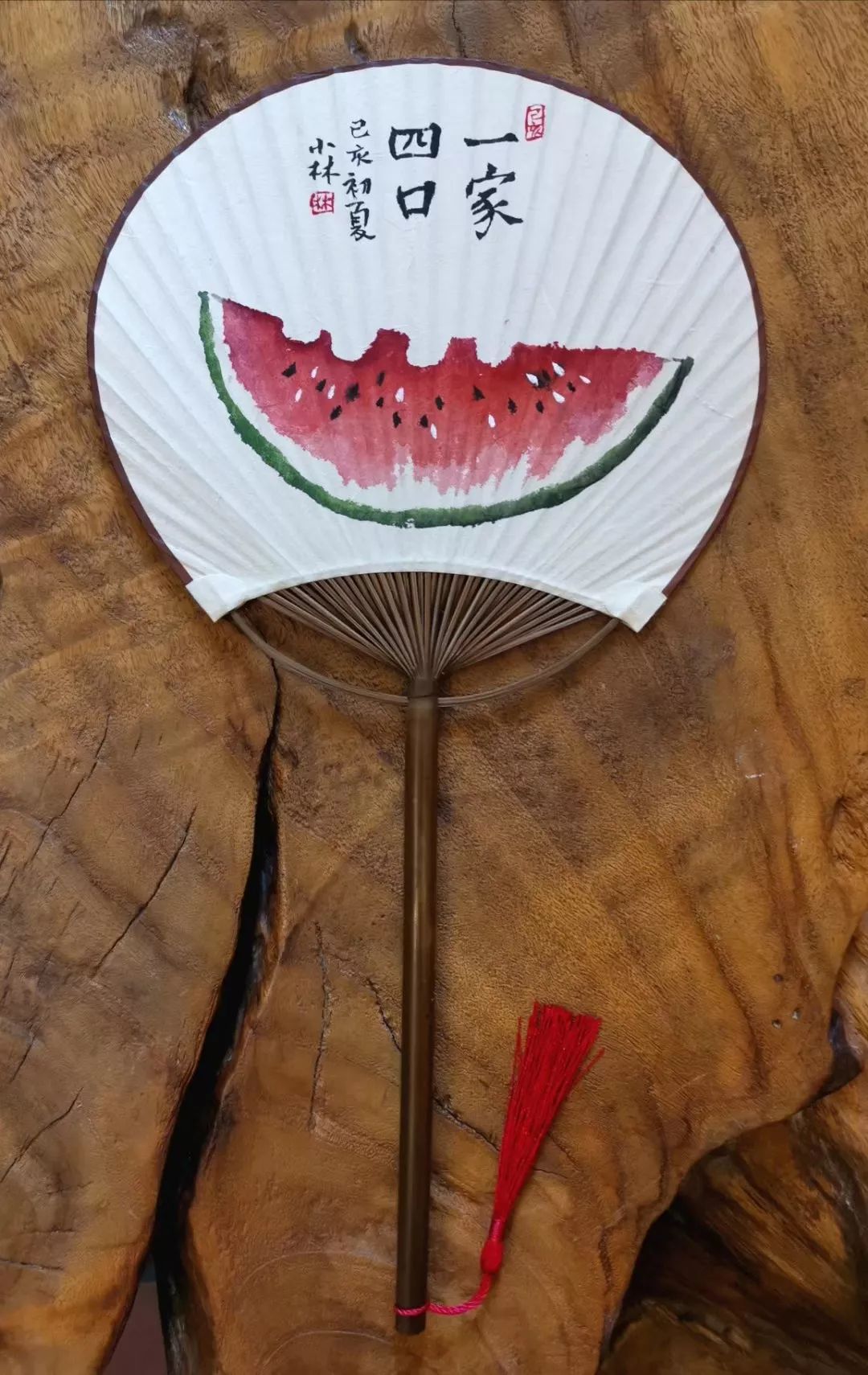 央视小林,央视新闻表扬小林的视频