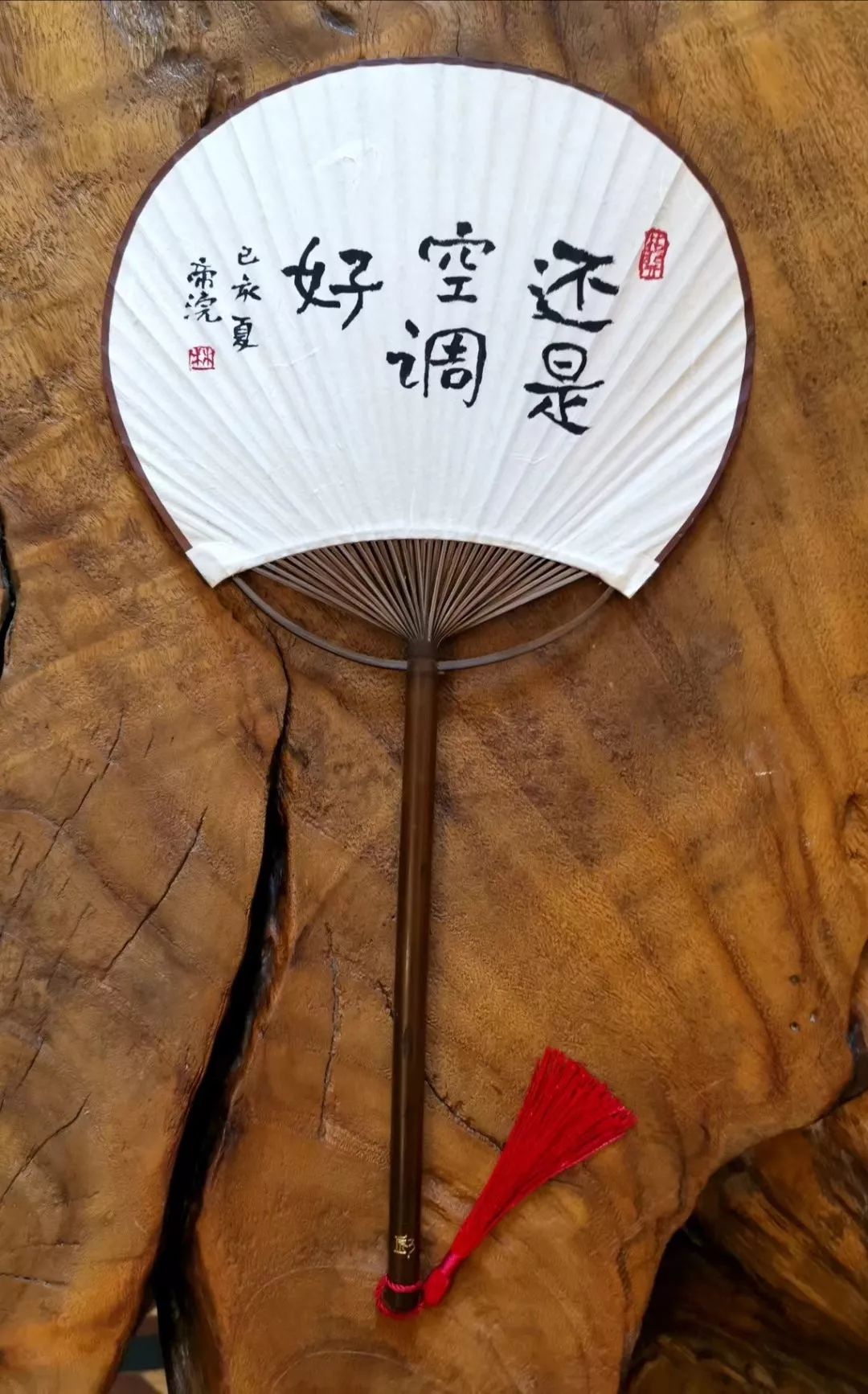 央视小林,央视新闻表扬小林的视频