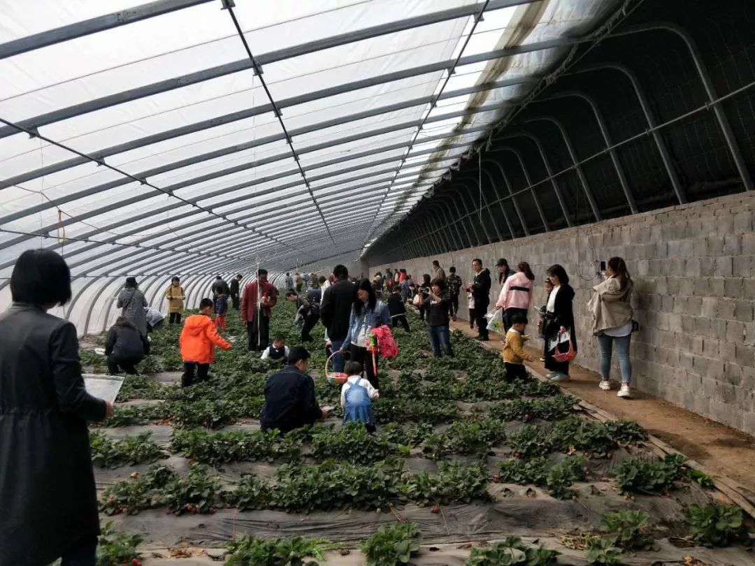 美景美食不虚此行,美景美食美不胜收