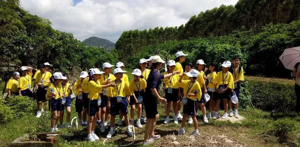 云霄春节旅游攻略,云霄县国庆节旅游攻略