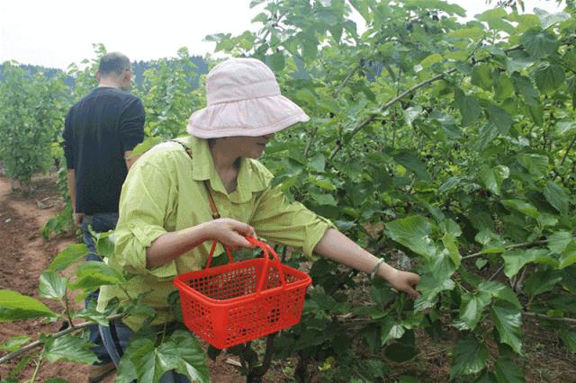 资阳哪里五一节可以去玩,五一周边不挤的景点