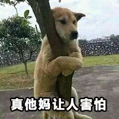 运动员比赛时尴尬瞬间,运动员比赛中的失误搞笑视频