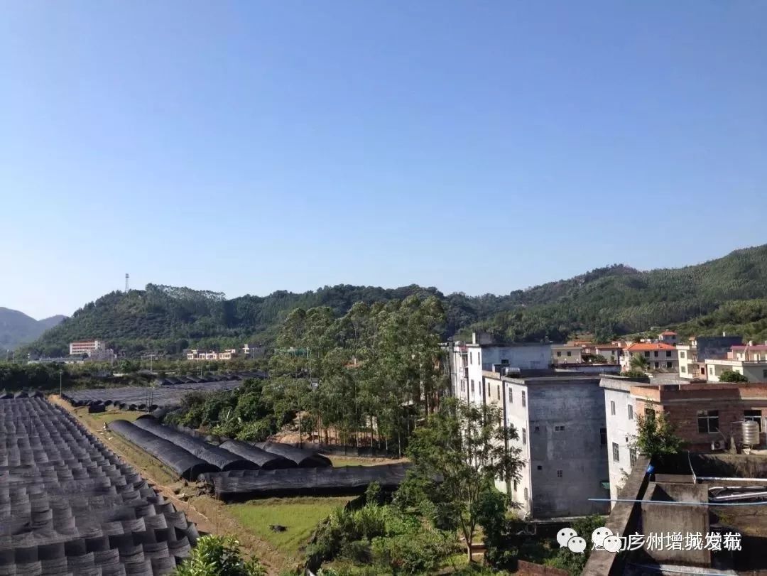 抓住假期小尾巴打卡最美网红地,抓住国庆节假期的尾巴继续打卡