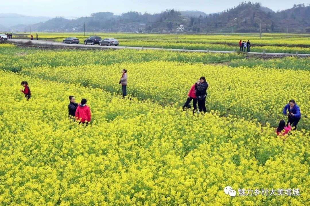 抓住假期小尾巴打卡最美网红地,抓住国庆节假期的尾巴继续打卡