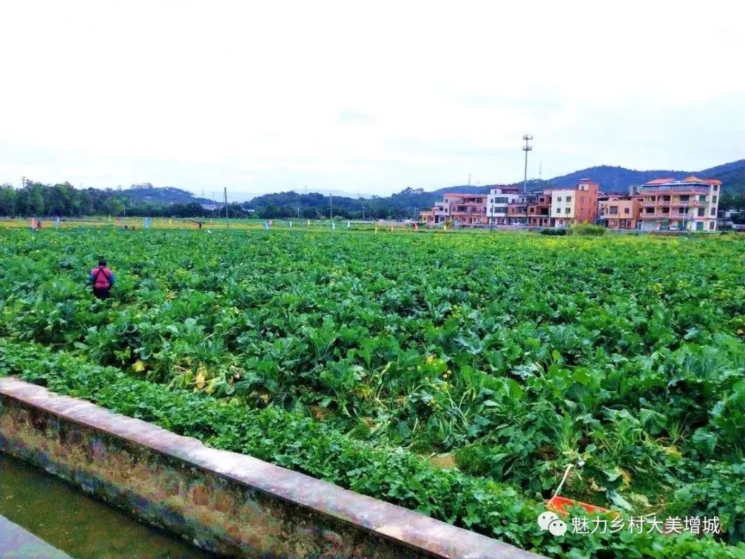 抓住假期小尾巴打卡最美网红地,抓住国庆节假期的尾巴继续打卡