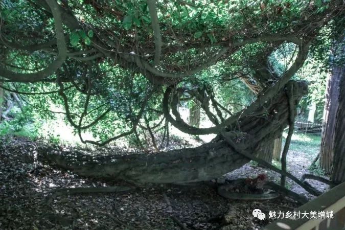 抓住假期小尾巴打卡最美网红地,抓住国庆节假期的尾巴继续打卡