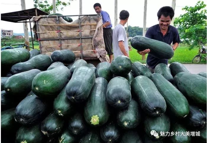 抓住假期小尾巴打卡最美网红地,抓住国庆节假期的尾巴继续打卡