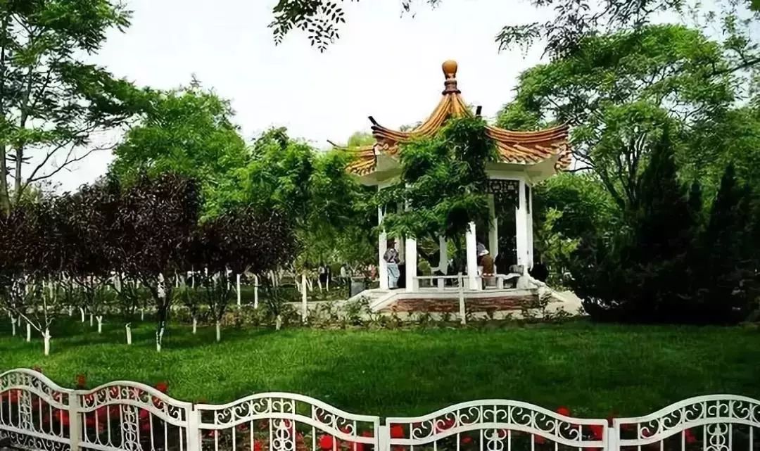 城事丨天津竟然有这么多免费公园可逛，趁假期最后一天赶紧去逛逛吧！